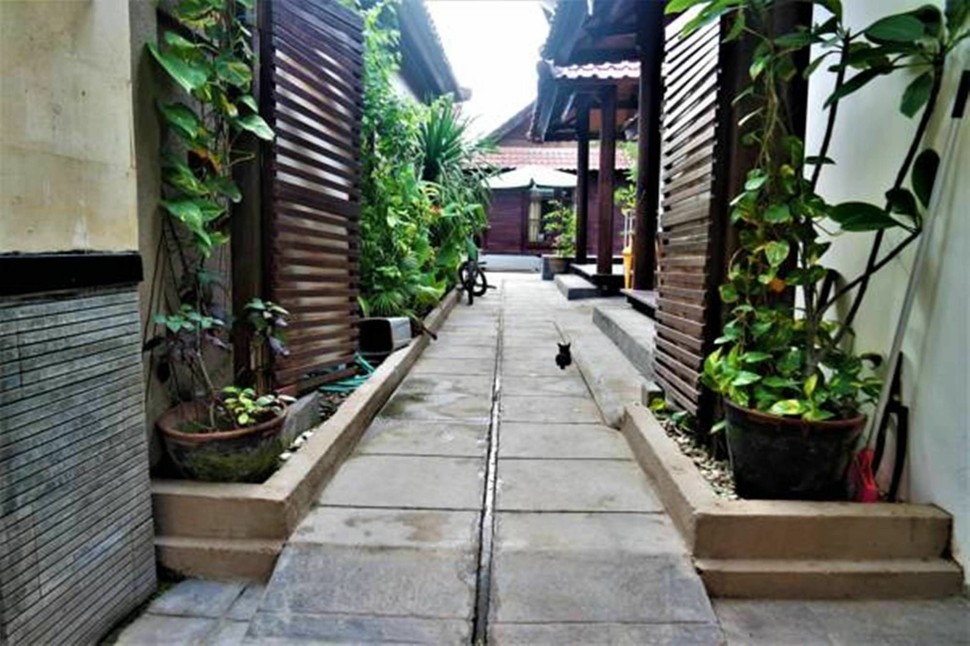 גילי טרוונגן Drupadi Bungalows מראה חיצוני תמונה
